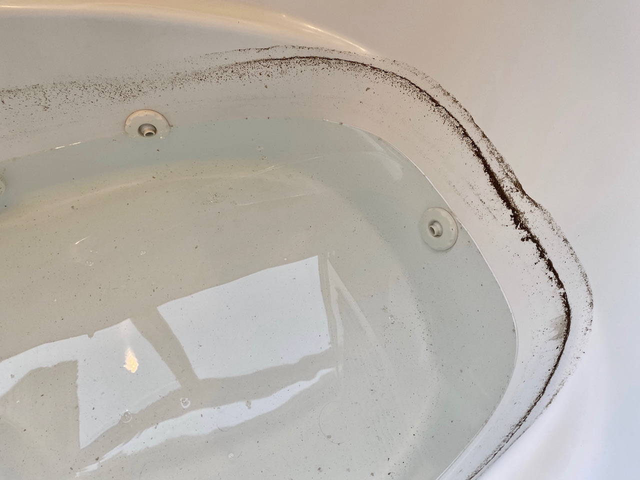 Jetted Tub Cleaner Zero Bull / truSpring